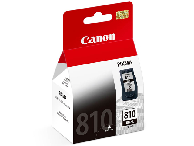 Canon Ink Cartridge PG-810 Black 9 ml