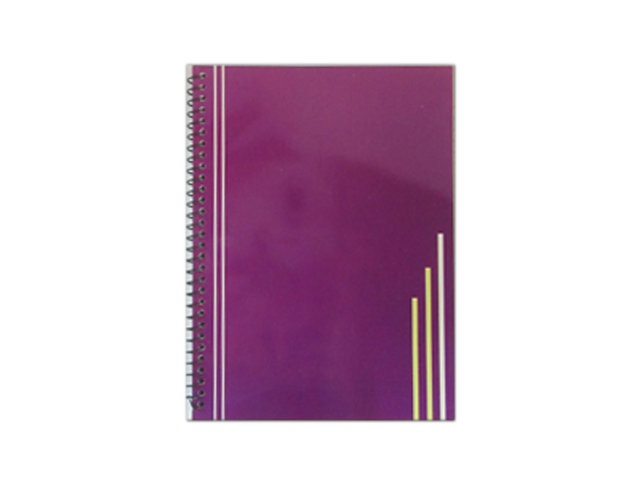 Office Warehouse Spiral Notebook w/Plastic 80LVS Asstd 