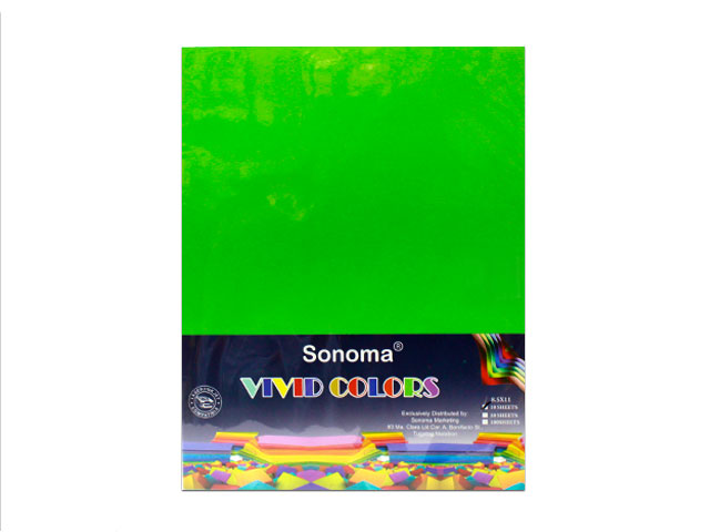 Sonoma Vivid Colors Colored Paper 10s Letter Green 