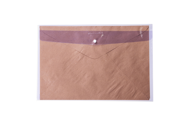 Adventurer Document Envelope w/Plastic EC4LB Col Assorted Legal 