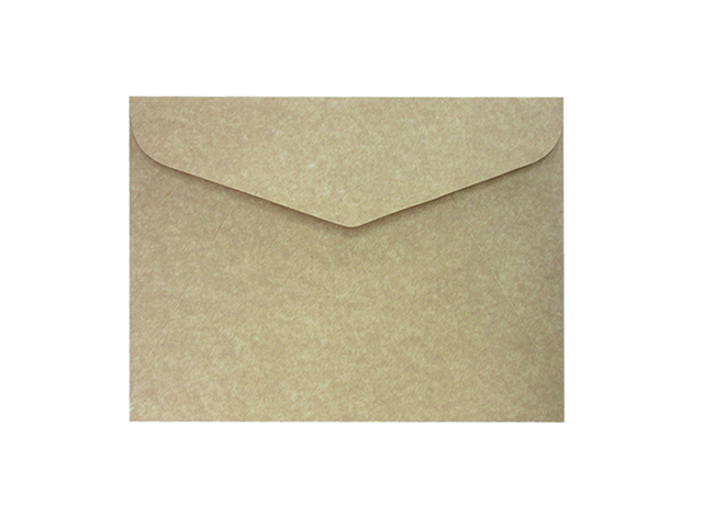 Click Document Envelope 007 Kraft 9x12 5s