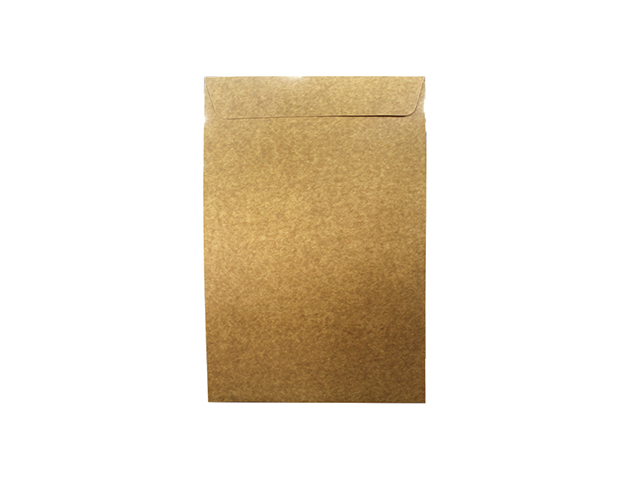 Click Catalog Envelope 250LBS White/Kraft 10 x 15