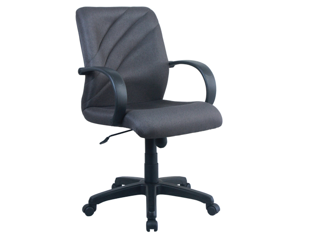 Executive Chair BS560-L Low Back Gray
