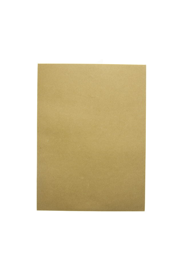 Click Catalog Envelope w/String Kraft 9 x 12