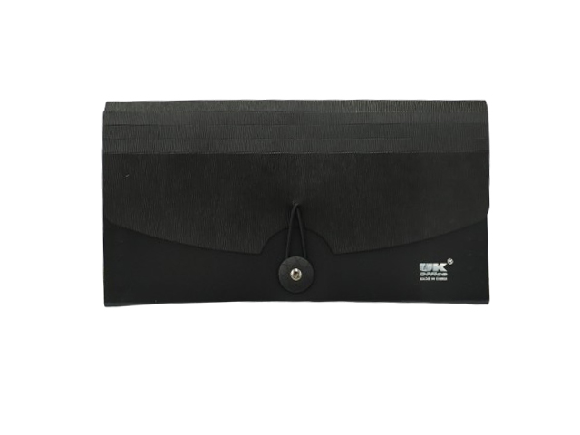 Check File Black 