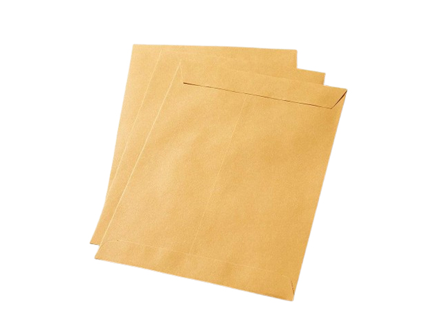 Exceline ENV Statement 1Side Kraft 6x9in