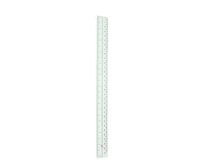 Joy Plastic Ruler Clear 12
