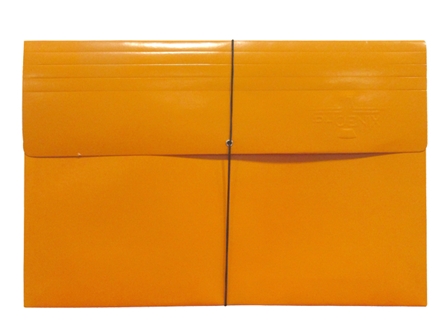Phoenix Expanding Envelope Legal Orange