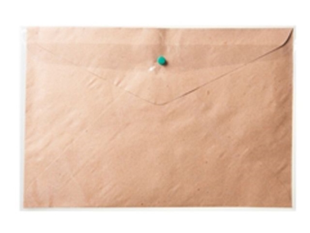 Adventurer Document Envelope w/Plastic EC4SB Col Assorted Letter