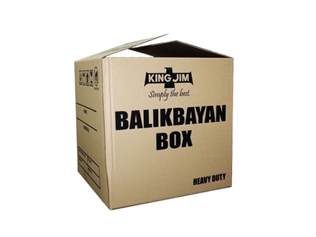 King Jim Balikbayan Box 175lbs Brown 20x20x20