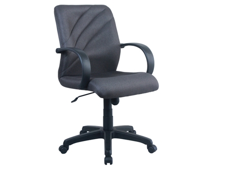 Executive Chair BS560-L Low Back Gray