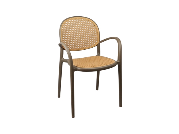 Plastic Chair THDC679 Brown