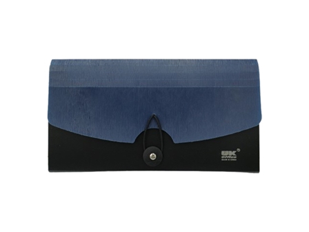 Check File Blue