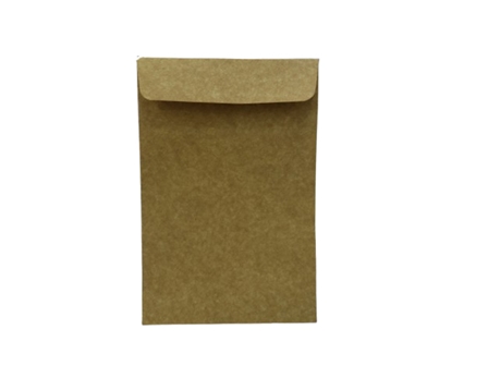 Click ENV Catalog 250LBS Kraft White 6x9