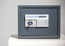 Shop Safes